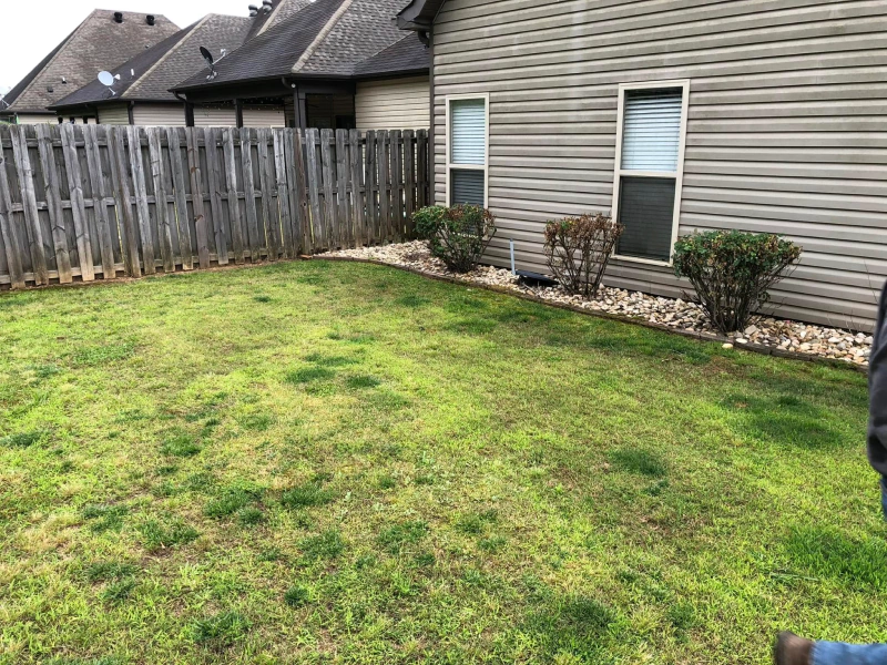 Lawn Care